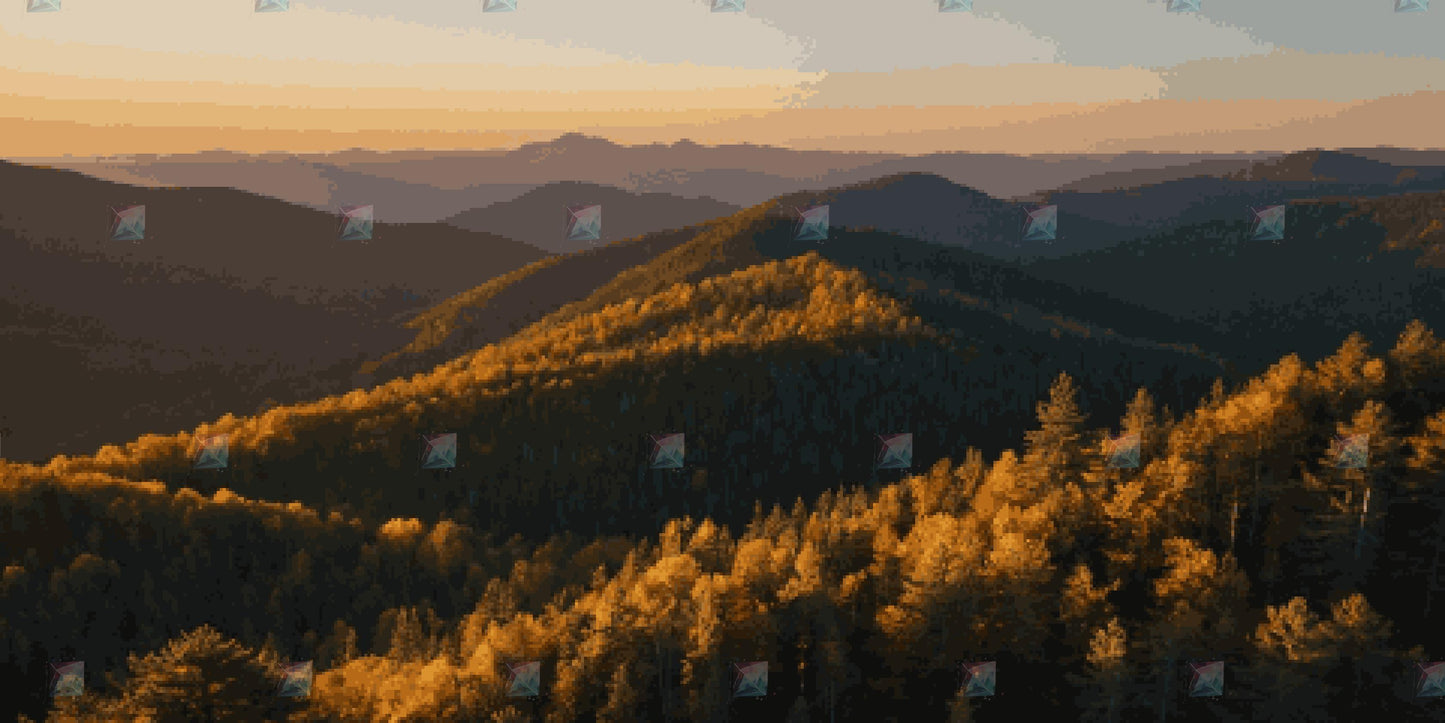 #Round Diamond / 60X120cm